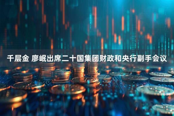 千层金 廖岷出席二十国集团财政和央行副手会议