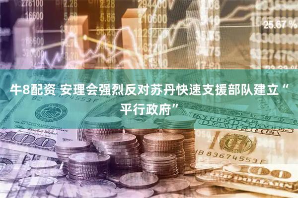 牛8配资 安理会强烈反对苏丹快速支援部队建立“平行政府”